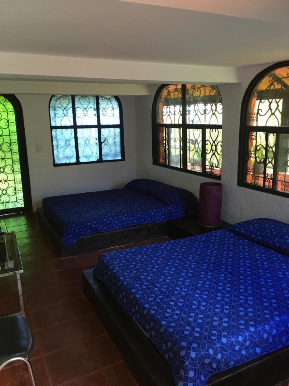 Hotel Green Ecologico 라 베가 객실 사진